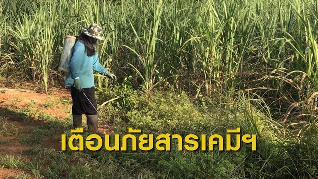 สบส.เตือนภัยสารเคมีกำจัดศัตรูพืช 