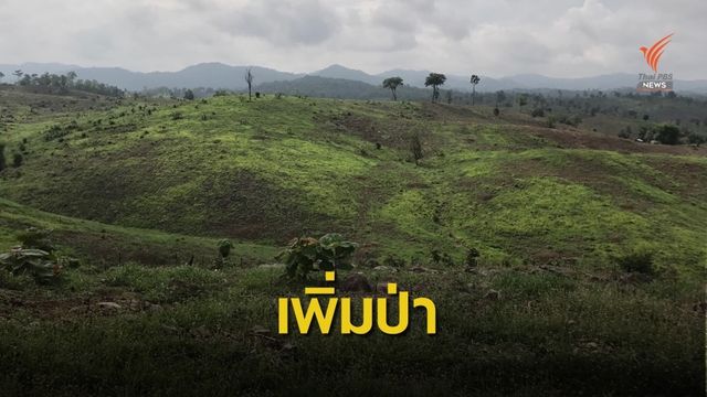 ดันใช้ "ดาวเทียม-โดรน" ช่วยสอดส่องดูแลป่า