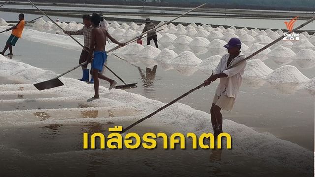 ชาวนาเกลือเสนอ  9 ข้อ ให้รัฐเร่งแก้ปัญหาเกลือราคาตก