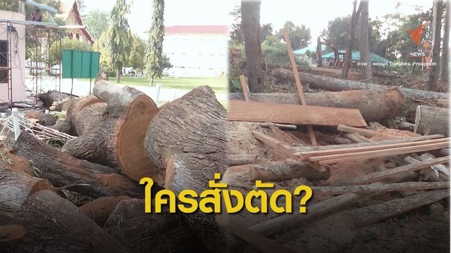 ร่อนหนังสือด่วน!  พศ.ระงับวัดตัดไม้ตาม ม.7 ปมถูกตัดขาย