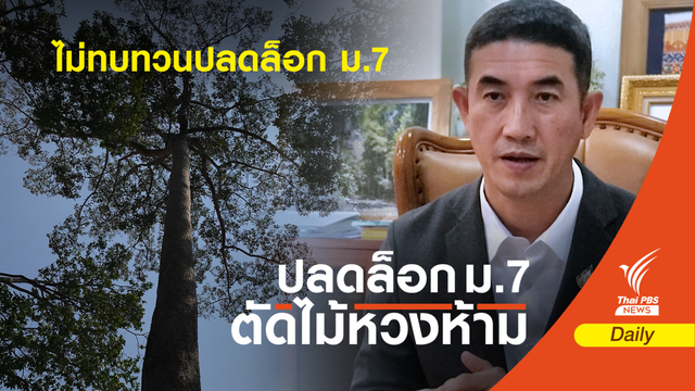 กรมป่าไม้ ไม่ทบทวน ม.7 ปลดล็อกตัดไม้หวงห้าม