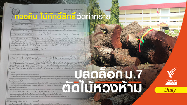 ร้องศูนย์ดำรงธรรม "ทวงคืน" ไม้ศักดิ์สิทธิ์ วัดท่าทราย 