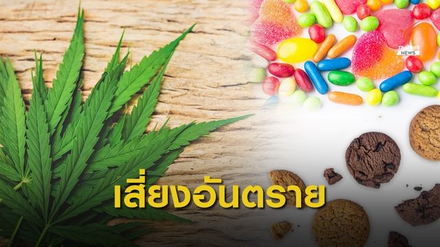 เตือนวัยรุ่นกินขนมผสมกัญชา เสี่ยง "หัวใจเต้นเร็ว - กล้ามเนื้อไม่มีแรง" 
