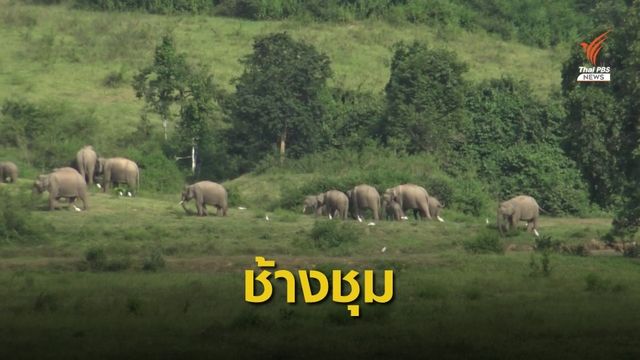 เตือนเที่ยวอช.กุยบุรีระวังสัตว์ป่า