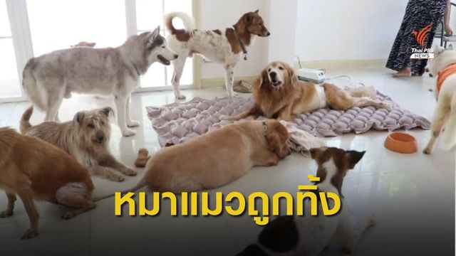 มูลนิธิอนุรักษ์โคกระบือไทยและให้ชีวิตใหม่แก่สัตว์ถูกทอดทิ้ง