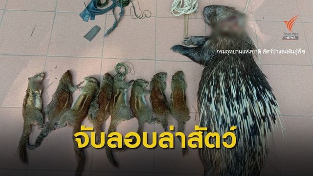จับพรานลักลอบล่าสัตว์ อุทยานฯภูจองนายอย จ.อุบลราชธานี 