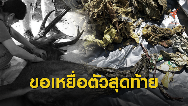 นักท่องเที่ยวต้องรู้  1 ม.ค.63 ห้ามถุงพลาสติก-โฟมเข้าอุทยาน 