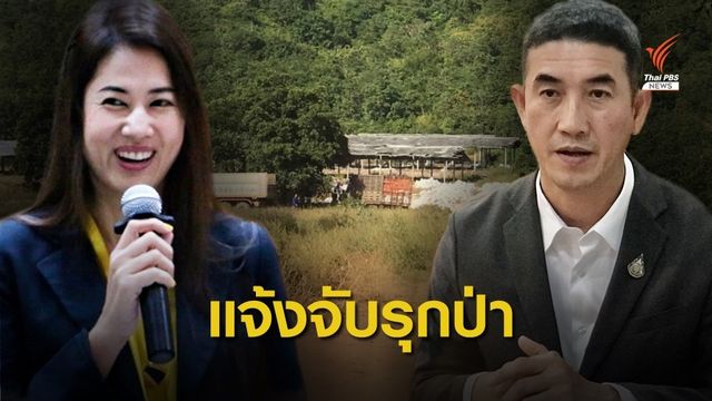 กรมป่าไม้เตรียมแจ้งความ บก.ปทส. “ปารีณา” รุกป่า 2 ธ.ค.นี้