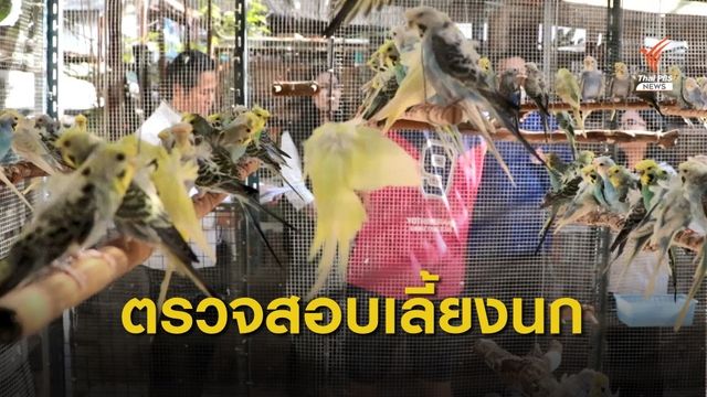 ตรวจสอบการเลี้ยงนกส่งเสียงดังรบกวนชุมชน  เขตบางซื่อ กทม.