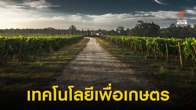 เทคโนโลยีเพิ่มประสิทธิภาพในการผลิตสินค้าการเกษตร