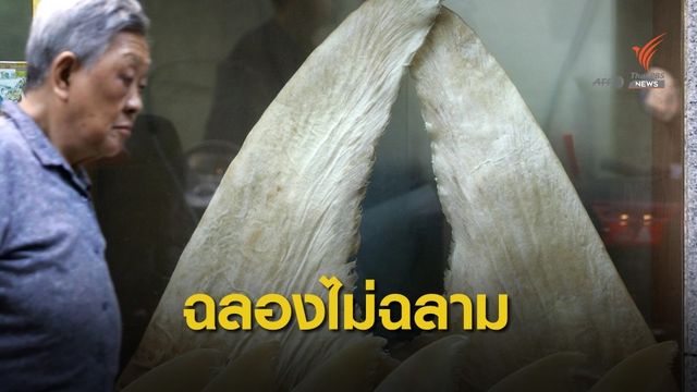 ชาวโซเชียล หนุนหยุดเมนู "หูฉลาม" ในงานเลี้ยง 