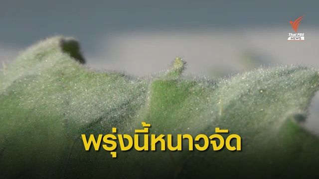 เตรียมรับมืออุณหภูมิลดต่ำที่สุด 7-9 ธ.ค.นี้