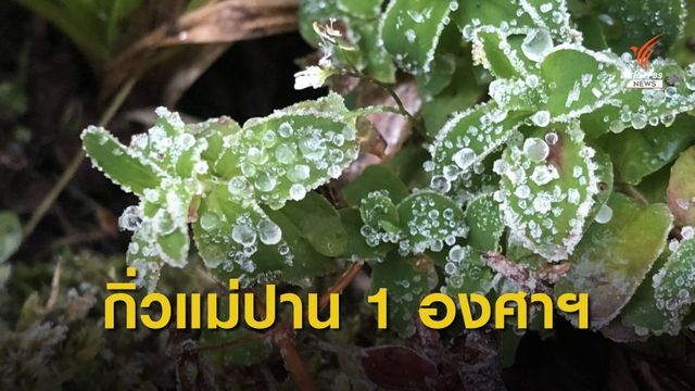 ประชาชนแห่เที่ยวภาคเหนือ สัมผัสอากาศหนาว