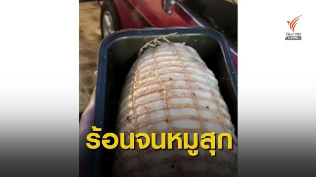 ออสเตรเลียอากาศร้อนจัด หนุ่มอบเนื้อหมูในรถยนต์จนสุก