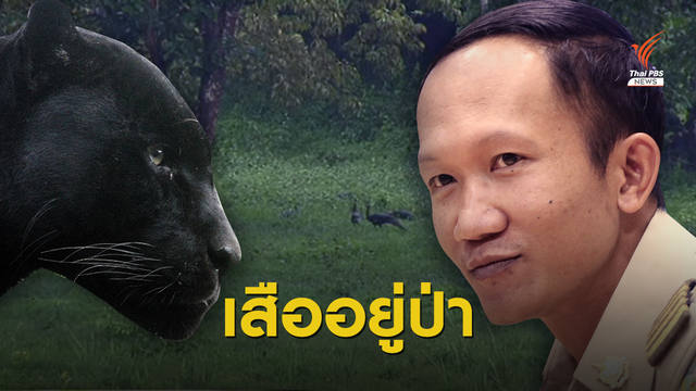 คำต่อคำ "วิเชียร" เปิดใจขอย้ายออกป่าทุ่งใหญ่