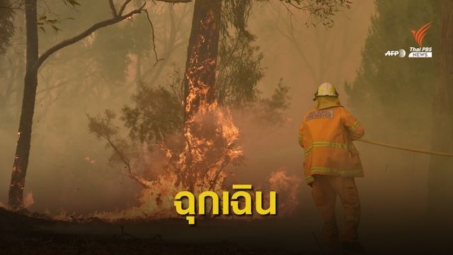 รัฐนิวเซาท์เวลส์ ประกาศสถานการณ์ฉุกเฉินรับมือไฟป่า