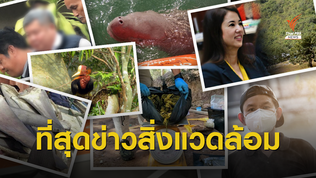 10 ข่าวสิ่งแวดล้อมโดนใจคนปี 62