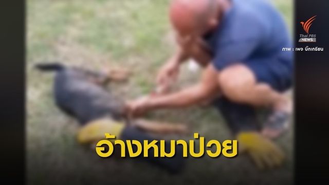 สางปม "ฉีดยาฆ่าหมา" รับบริจาคเงินตั้งสถานสงเคราะห์