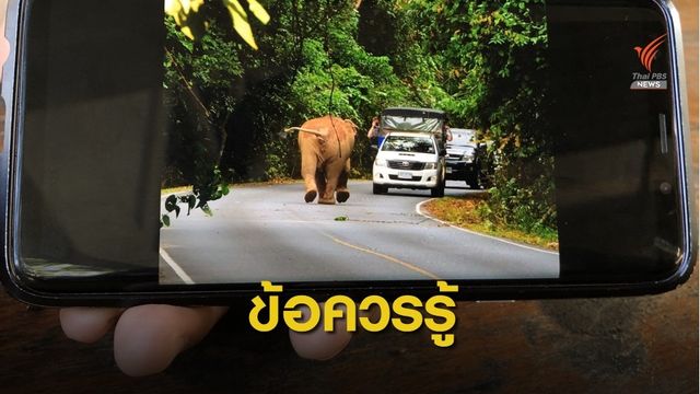 เช็กด่วน! กฎ-ข้อห้ามเที่ยวอุทยานแบบไม่ขัดใจรับปีใหม่ 