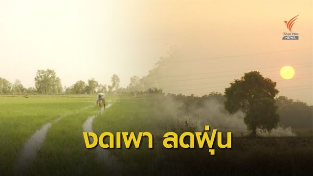 ธรรมนูญชุมชนงดเผานา ลดปัญหาฝุ่น