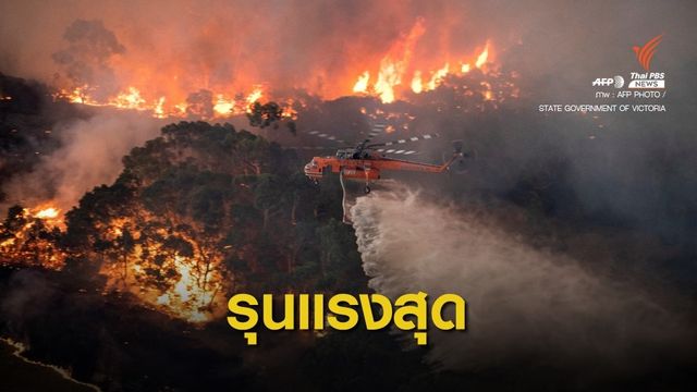 วิกฤตไฟป่า! สถานทูตฯ แจ้งประกาศภาวะภัยพิบัติในออสเตรเลีย