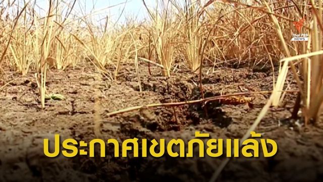 ประกาศเขตภัยแล้ง 14 จังหวัด เร่งแจกจ่ายน้ำช่วยเหลือ 