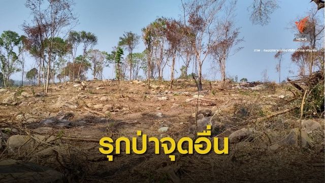 DSI แจงผลสอบ 12 คนเอี่ยวปมที่ดิน "นักการเมือง" รุกเขาใหญ่