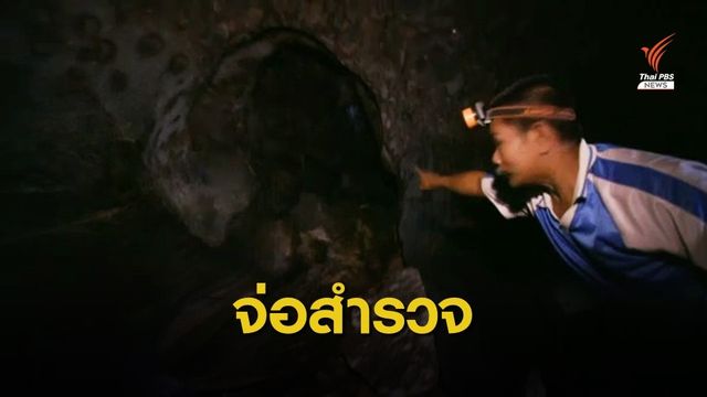 นักวิจัยชี้ยังไม่พบ "ไวรัสโคโรนาสายพันธุ์ใหม่" ในค้างคาวไทย