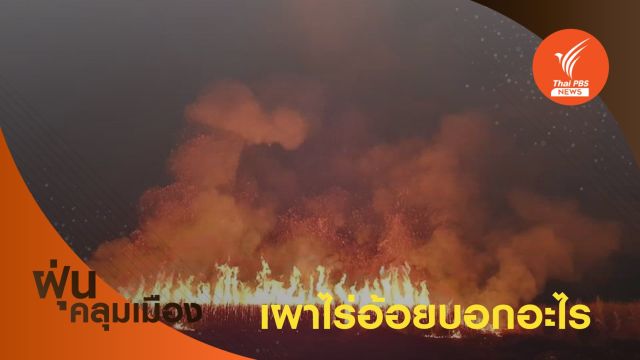 "เผาไร่อ้อย" ประเทศไทย บอกอะไรได้บ้าง?  