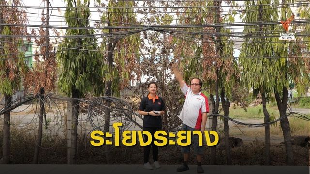 ชาวซอยสุขุมวิท 50 ร้องเรียนสายสื่อสารห้อยขวางทางสัญจร