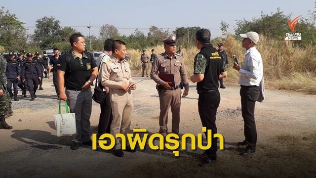กรมป่าไม้แจ้งความ "ทวี ไกรคุปต์" รุกป่า 392 ไร่