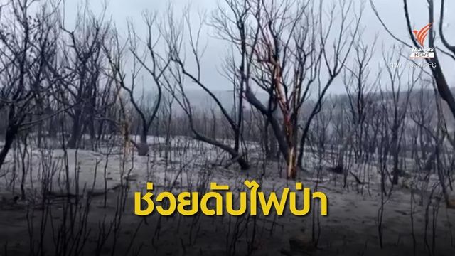 ฝนถล่มซิดนีย์หนักสุดรอบ 30 ปี ช่วยดับไฟป่าออสเตรเลีย