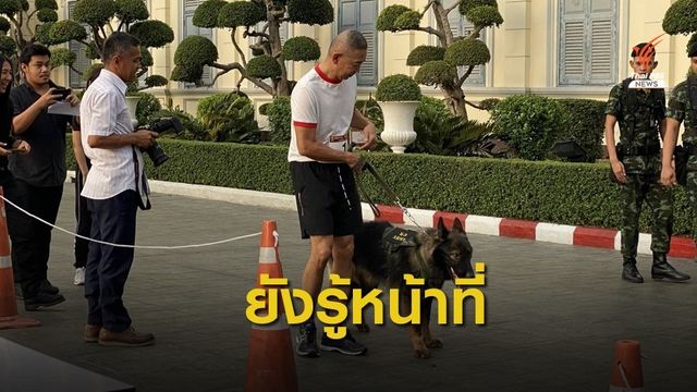 ผบ.ทบ.ยก"สุนัขทหาร"มีสำนึกรู้หน้าที่