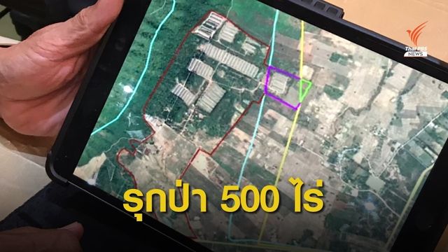 เช็กบิล! "กรมป่าไม้" ดำเนินคดี "เขาสนฟาร์ม" รุกป่าเพิ่มกว่า 500 ไร่ 