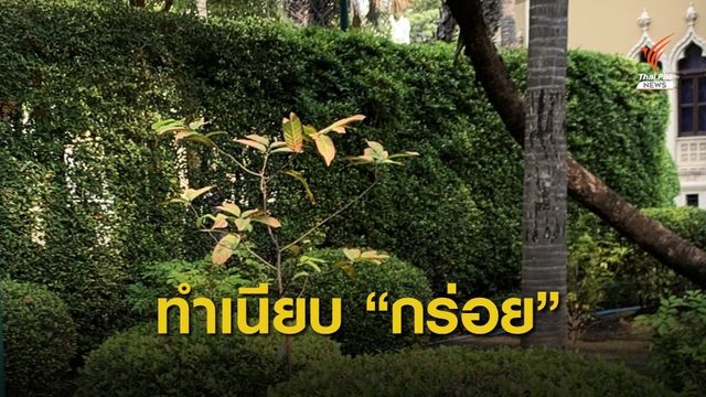 "น้ำกร่อย" รุกทำเนียบ ทำต้นไม้เฉา-ยืนต้นเกือบตาย