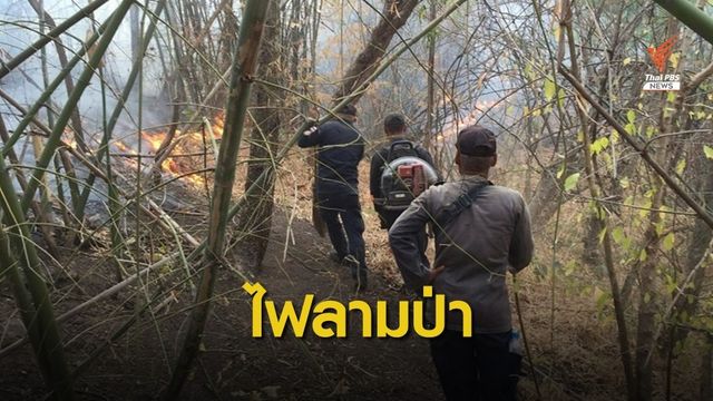 ไฟไหม้ป่าราชบุรีเผาพื้นที่ 700 ไร่ จนท.เจ็บ 1 คน