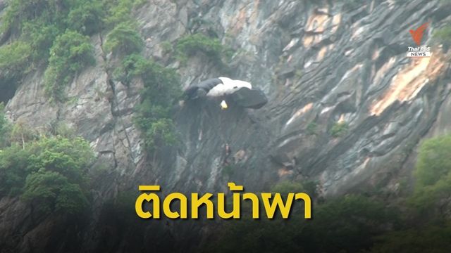 หนุ่มออสเตรียโดดเขาอกทะลุ ร่มเกี่ยวกิ่งไม้ติดหน้าผา 