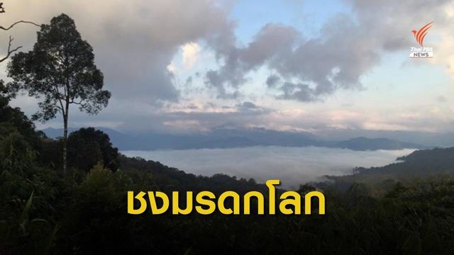 เร่งส่งข้อมูล "แก่งกระจาน" ขึ้นมรดกโลก ภายใน 31 ม.ค.นี้ 