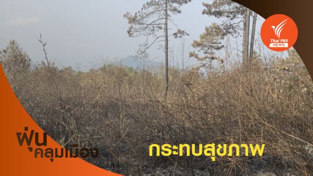 "แม่ฮ่องสอน" ฝุ่น PM 2.5 ทะลุ 129 มคก.ต่อลบ.ม. 