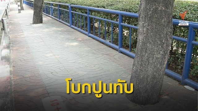 ชาวบ้านร้องโบกปูนทับต้นไม้ริมทางเท้าย่านจตุจักร