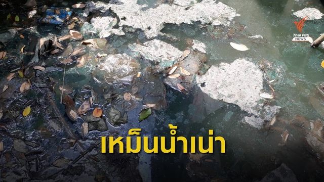 น้ำในคลองสาธารณะเน่าเหม็นนานกว่า 8 ปี  