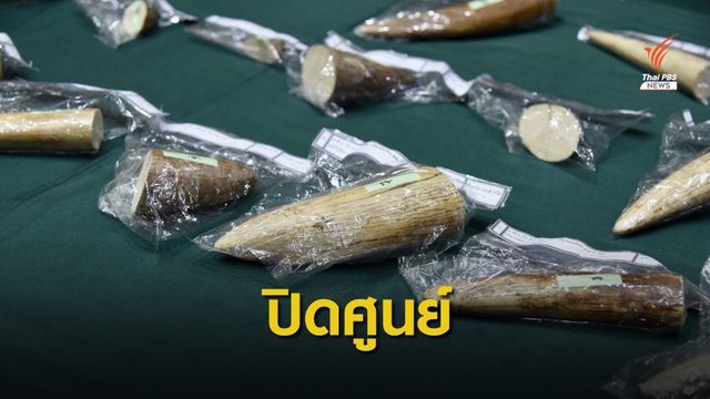 ปิดศูนย์ปราบปรามการค้างาช้าง หลัง "ไซเตส" ปลดไทยพ้นบัญชีดำ 