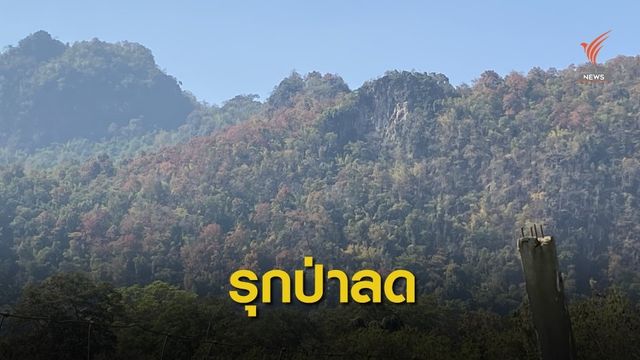 ทส.ทวงคืนป่าจากนายทุน 5 ปีกว่า  8.5 แสนไร่