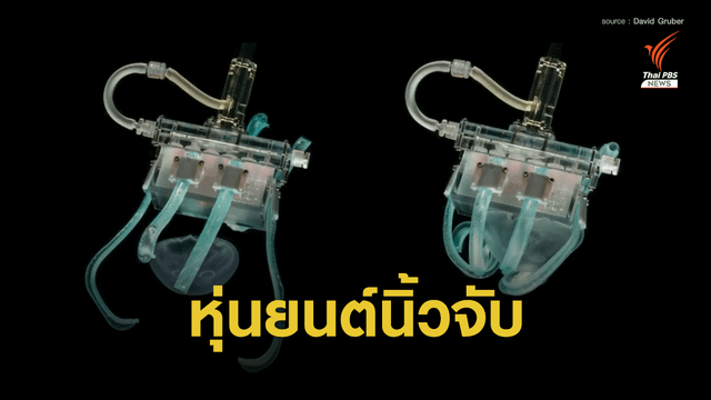 ทำความรู้จักกับ "หุ่นยนต์นิ้วจับอ่อนนุ่ม" ที่สร้างขึ้นเพื่อวิจัยสิ่งมีชีวิตในมหาสมุทร