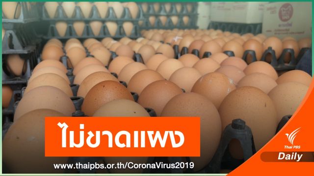 กรมการค้าภายใน เปิดตัวเลขยันไข่ไก่ ไม่แพง-มีพอ