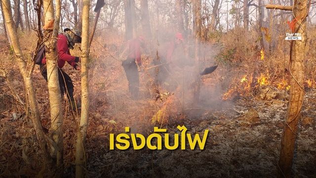 นายกฯ สั่งเร่งดับไฟป่า 17 จังหวัดภาคเหนือ-กาญจนบุรี 