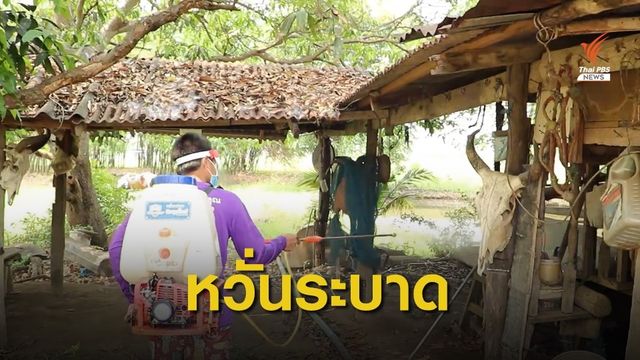  กลุ่มเลี้ยงม้าหวั่นกาฬโรคแอฟริกาในม้าระบาด จ.ราชบุรี