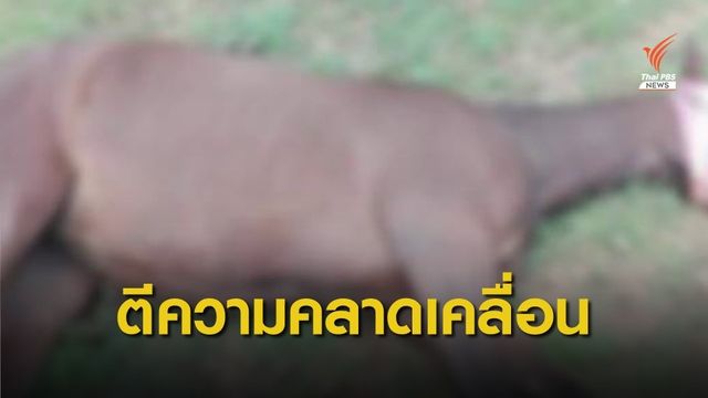 ศูนย์ข่าวปลอม รับเข้าใจคลาดเคลื่อน “กาฬโรคม้า” 