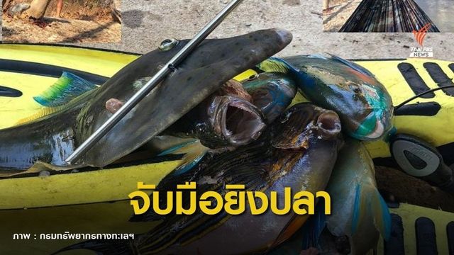 จับแล้ว นทท.จีนยิงปลาสวยงามที่หาดนุ้ย