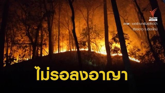 ศาลสั่งจำคุกผู้ต้องหา คดีเผาป่าเชียงดาว 2 ปี - ปรับ 4.3 แสนบาท